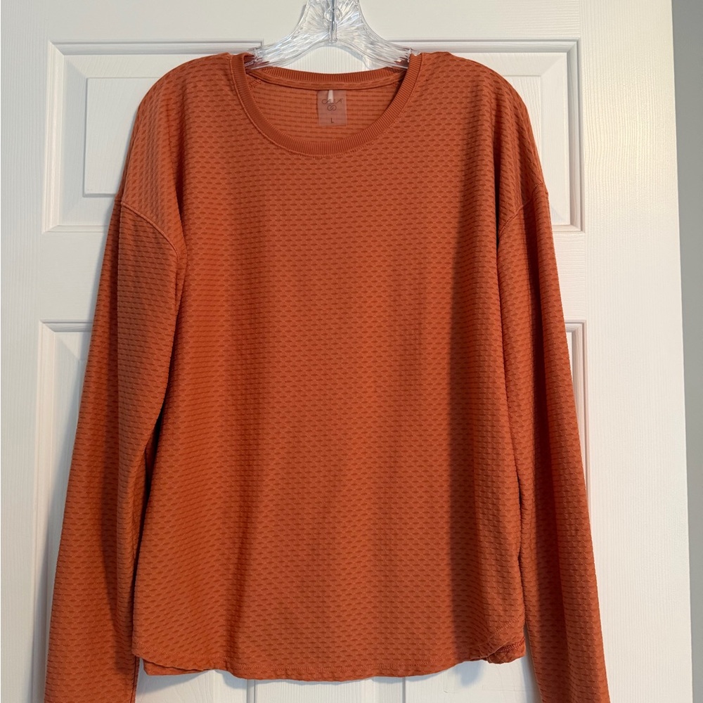 CALIA by Carrie Underwood Women's Long Sleeve Textured Tee in Rust Orange
